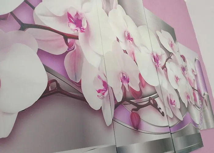 Bed & Breakfast Max Messina