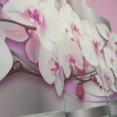 Bed & Breakfast Max Messina