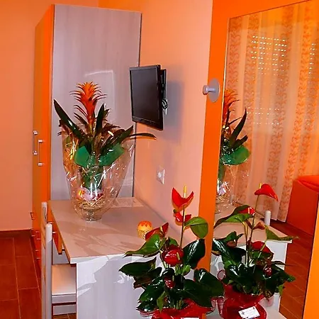 Bed & Breakfast Max 4*